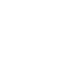 Entrepreneur's Diary